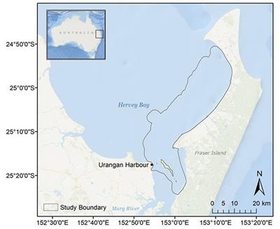 The Behavioural Impacts of Commercial Swimming With Whale Tours on Humpback Whales (Megaptera novaeangliae) in Hervey Bay, Australia